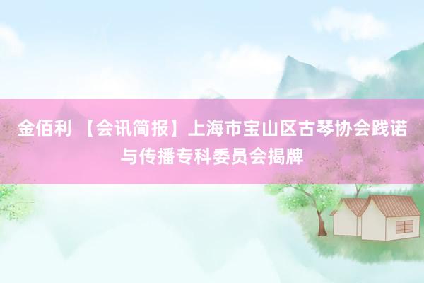 金佰利 【会讯简报】上海市宝山区古琴协会践诺与传播专科委员会揭牌