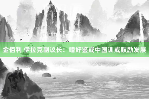 金佰利 伊拉克副议长：嗜好鉴戒中国训戒鼓励发展