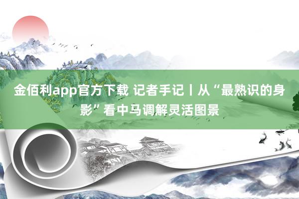 金佰利app官方下载 记者手记丨从“最熟识的身影”看中马调解灵活图景