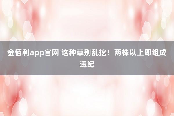 金佰利app官网 这种草别乱挖！两株以上即组成违纪