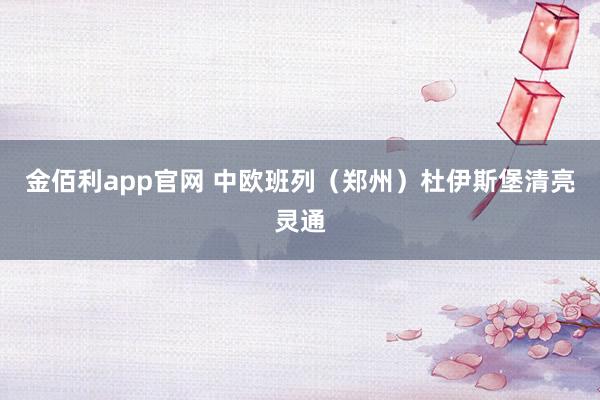 金佰利app官网 中欧班列（郑州）杜伊斯堡清亮灵通