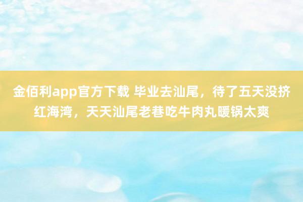 金佰利app官方下载 毕业去汕尾，待了五天没挤红海湾，天天汕尾老巷吃牛肉丸暖锅太爽
