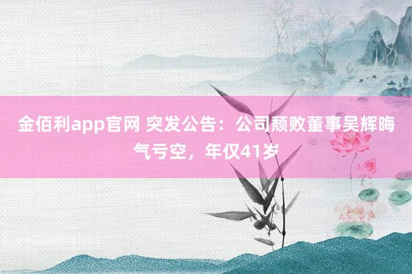 金佰利app官网 突发公告：公司颓败董事吴辉晦气亏空，年仅41岁
