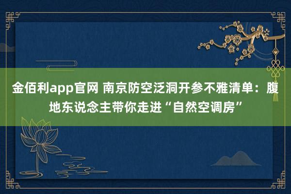 金佰利app官网 南京防空泛洞开参不雅清单：腹地东说念主带你走进“自然空调房”