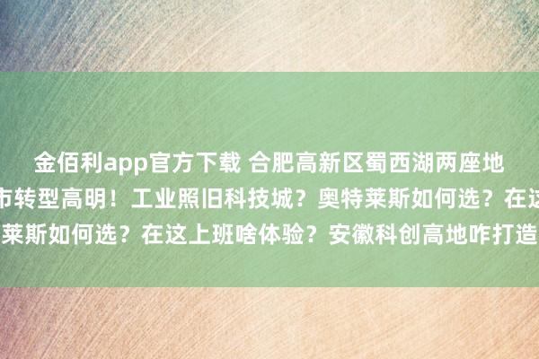 金佰利app官方下载 合肥高新区蜀西湖两座地标楼火了，背后藏着城市转型高明！工业照旧科技城？奥特莱斯如何选？在这上班啥体验？安徽科创高地咋打造？一文说