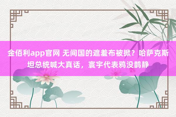 金佰利app官网 无间国的遮羞布被掀？哈萨克斯坦总统喊大真话，寰宇代表鸦没鹊静
