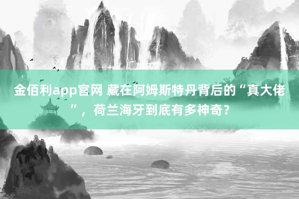 金佰利app官网 藏在阿姆斯特丹背后的“真大佬”，荷兰海牙到底有多神奇？