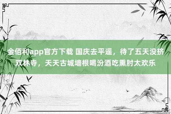 金佰利app官方下载 国庆去平遥，待了五天没挤双林寺，天天古城墙根喝汾酒吃熏肘太欢乐