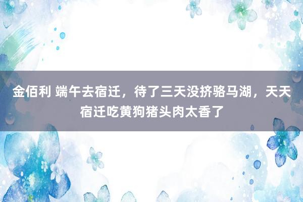 金佰利 端午去宿迁，待了三天没挤骆马湖，天天宿迁吃黄狗猪头肉太香了