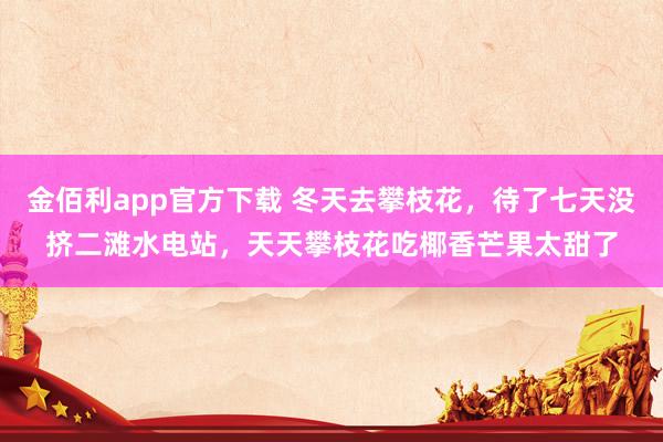 金佰利app官方下载 冬天去攀枝花，待了七天没挤二滩水电站，天天攀枝花吃椰香芒果太甜了