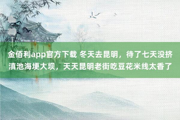 金佰利app官方下载 冬天去昆明，待了七天没挤滇池海埂大坝，天天昆明老街吃豆花米线太香了