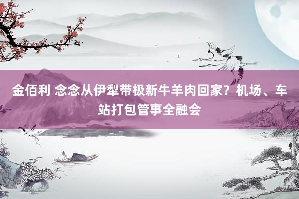 金佰利 念念从伊犁带极新牛羊肉回家？机场、车站打包管事全融会