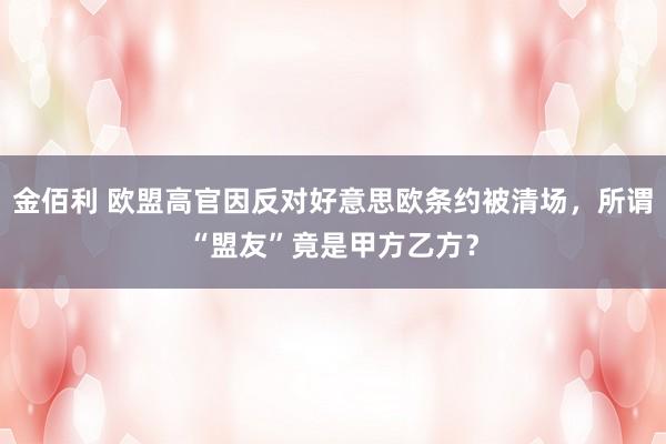 金佰利 欧盟高官因反对好意思欧条约被清场，所谓“盟友”竟是甲方乙方？