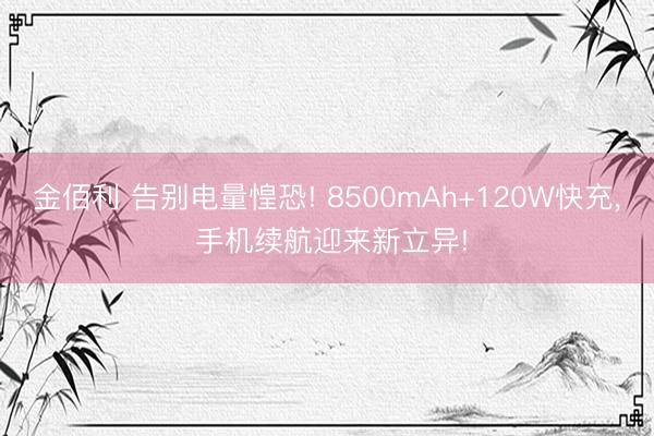 金佰利 告别电量惶恐! 8500mAh+120W快充， 手机续航迎来新立异!