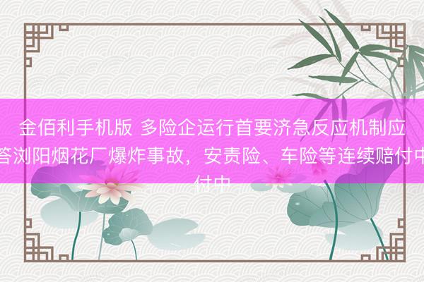 金佰利手机版 多险企运行首要济急反应机制应答浏阳烟花厂爆炸事故，安责险、车险等连续赔付中